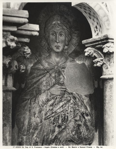Sansoni, Mario/ Bencini, Giulio — Assisi - Ch. Sup. di S. Francesco - Angelo (Cimabue e aiuti) — particolare